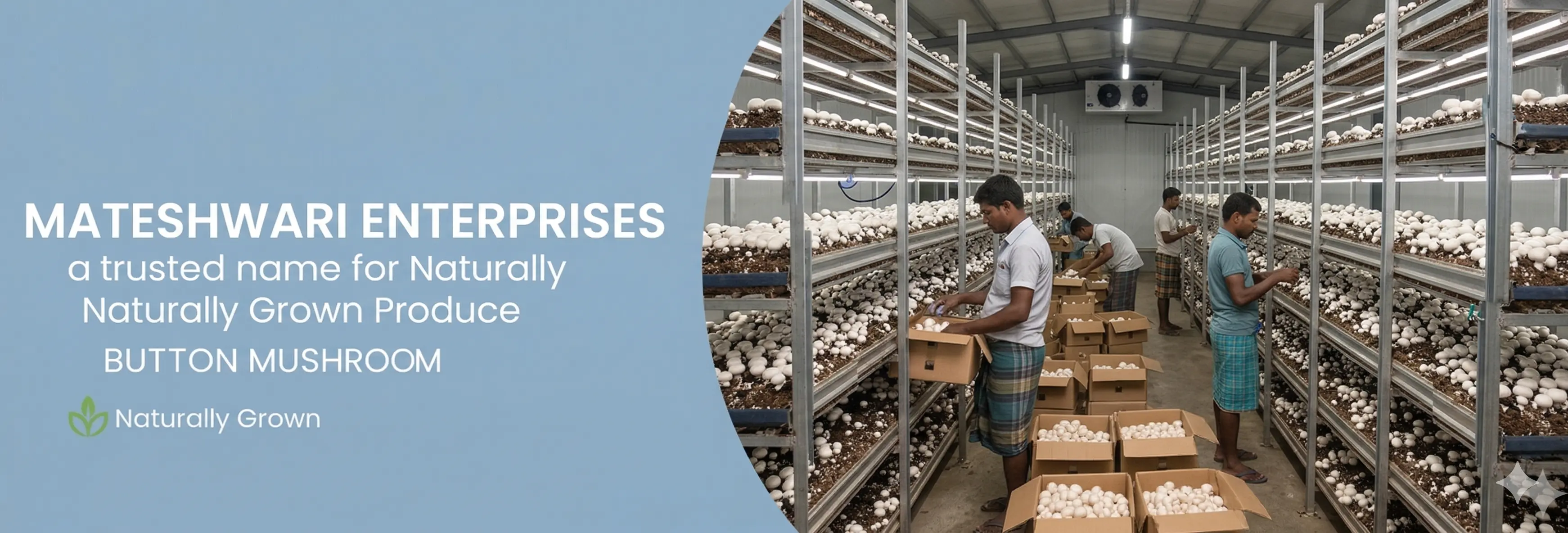 Mushroom Button Banner